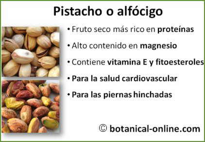 ¿Cuáles son los beneficios del pistacho para el hombre?