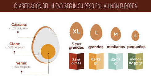 Cuánto pesa un huevo cocido?